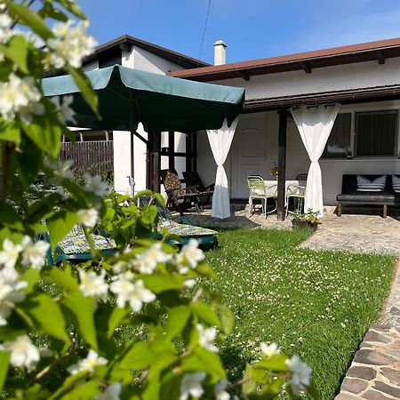 Charmante Petite Maison Transylvanie Villa Sacele Luaran gambar