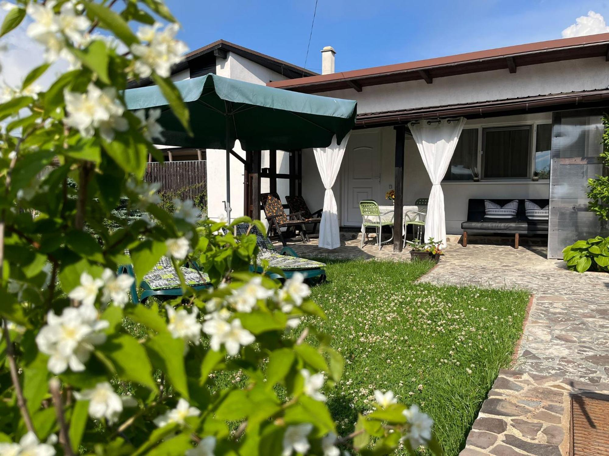 Charmante Petite Maison Transylvanie Villa Sacele Luaran gambar