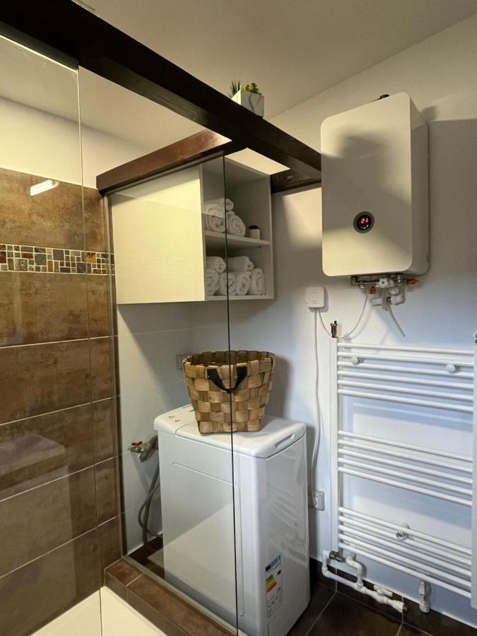 Charmante Petite Maison Transylvanie Villa Sacele Luaran gambar
