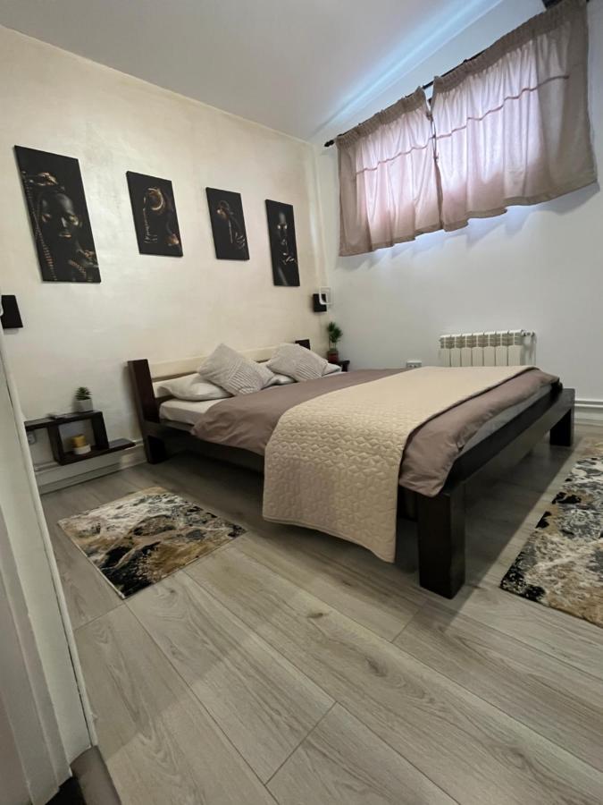 Charmante Petite Maison Transylvanie Villa Sacele Luaran gambar